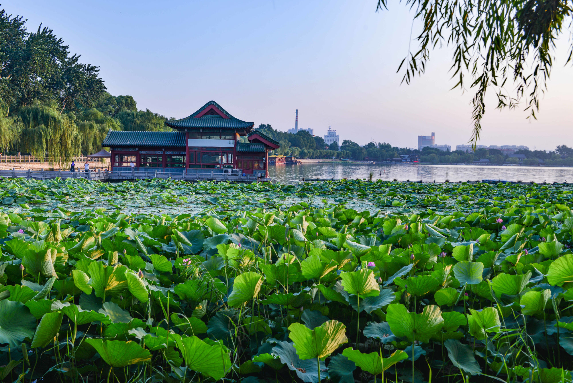 夏至养生汤：滋补夏日，守护健康